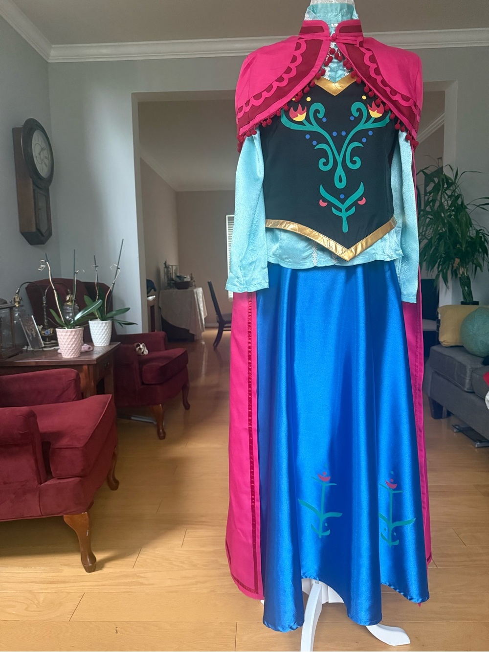 Princess Anna Dress Adult Women's Luxury Costume Cosplay Halloween